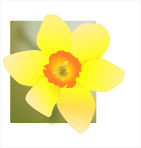 Daffodil With Green Background Clip Art